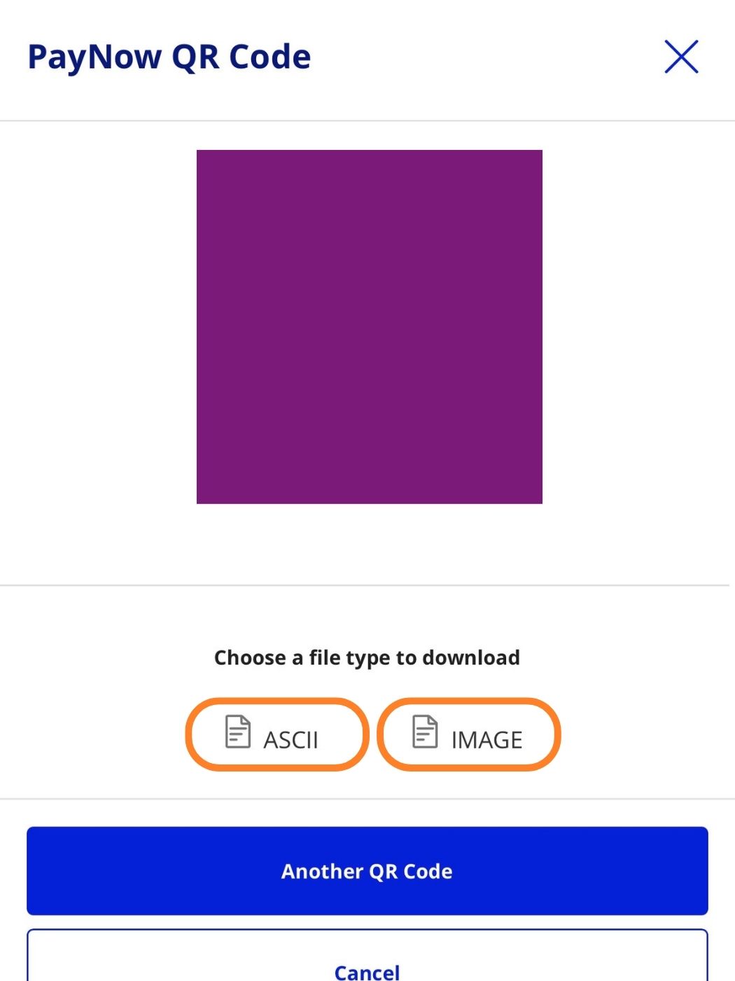 UOB Infinity generated PayNow QR with ASCII and Image download options